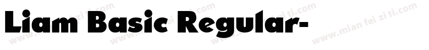 Liam Basic Regular字体转换
